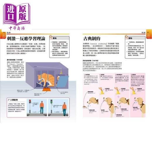 【中商原版】超简单心理课 自然科超高效学习指南	DK出版社编辑群 大石出版 港台原版 商品图3