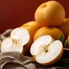 新鲜水果 肉质细腻   清甜多汁  圆黄梨3斤装 商品缩略图1