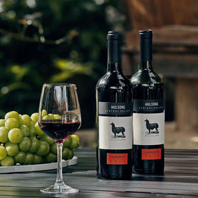 【内部老客纯福利】【此酒已经过品鉴认证；一致好评】线下经销商红酒专柜撤柜亏钱出售一批库存红酒；2020年10月份【原瓶进口】智利莫松中央山谷佳美娜干红葡萄酒；13%750ml/瓶整箱6支