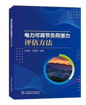 电力可调节负荷潜力评估方法