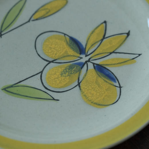 【苏州】日本手绘餐盘 商品图1