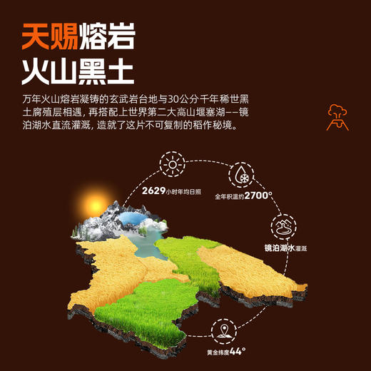 响水大米火山岩联名款5KG 商品图4