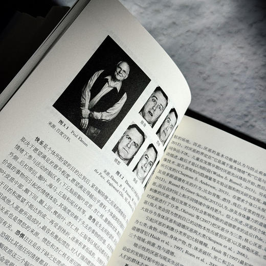 情绪心理学 当代中国心理科文库 国内外情绪心理学基础研究和应用领域成果 商品图9