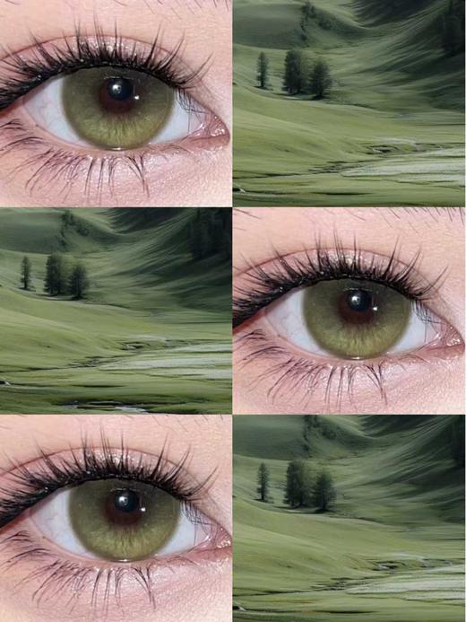 Chonos日抛美瞳 糯糯青山 14.5mm 商品图0