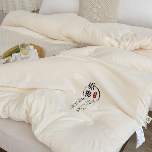 【原棉大豆羽丝绒被】无荧光剂·无甲醛·无芳香胺，整张纤维填充，蓬松透气，不易板结 均匀平整，畅享舒睡~ 商品图3