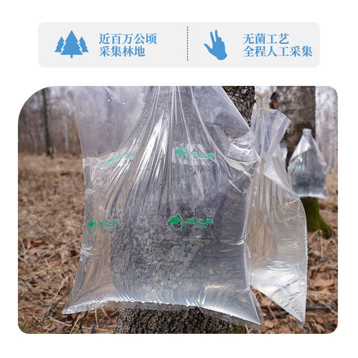 瑷之桦浓缩白桦树汁源自欧盟有机认证的纯净无添加的浓缩精华，蕴含原始森林的能量 商品图3