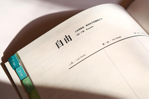 2025年排庭本  法律出版社 商品图2