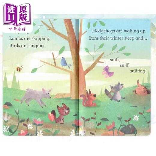 【中商原版】尤斯伯恩我的阅读图书馆 英文原版 Usborne My Reading Library 50 Books Set 50册故事绘本 分级阅读 6岁以上 商品图11