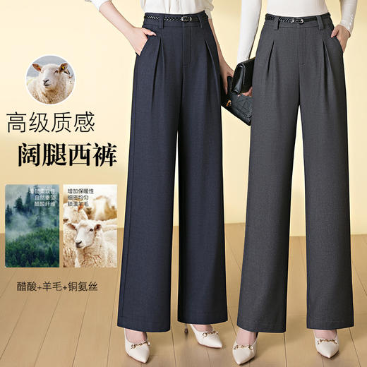 HSS 3055醋酸羊毛阔腿西裤松紧后腰高级垂感西装裤 商品图0