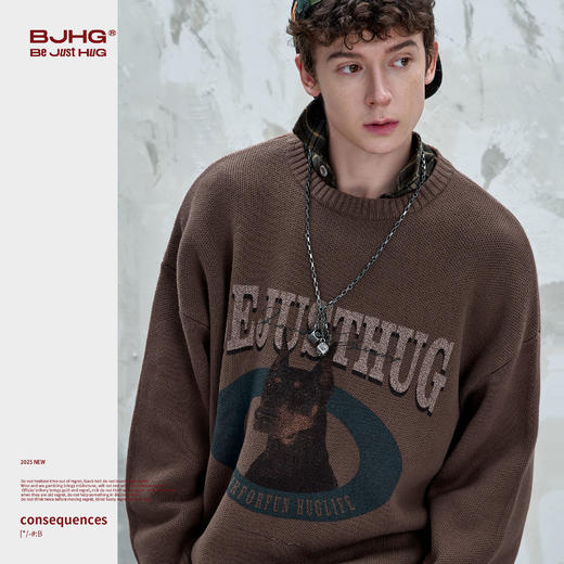 BJHG不计后果新款杜宾毛衣男款秋季重磅加厚情侣针织衫外套毛衣女 商品图1