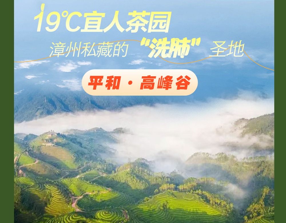 【平和·高峰谷】258¥起，踏茶浪，追云海，在平和高峰谷寻一回自在人生！吸氧、品茶、住美宿~度假正好！