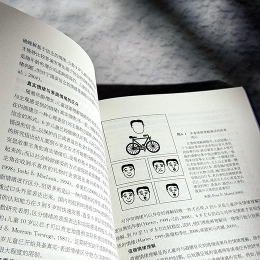 情绪心理学 当代中国心理科文库 国内外情绪心理学基础研究和应用领域成果 商品图10