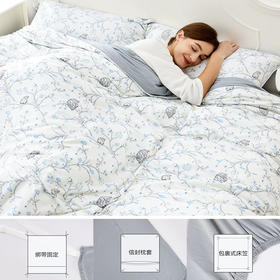 Domiamia 床品四件套（成人）轻奢纱布四季可用四件套