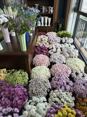 【第二十七期】VDB小菊返图作品投票结果