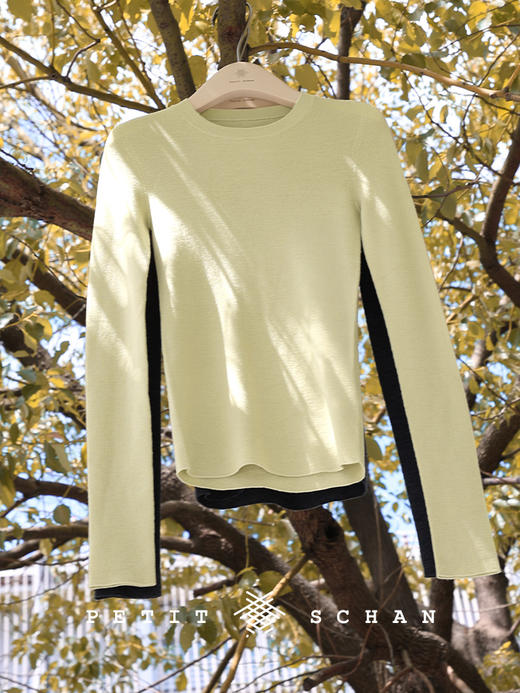 PETIT SCHAN小闪 CLO#896 Impeccably 不着痕迹 日本岛精无缝一体美利奴羊毛圆领针织打底衫 商品图1