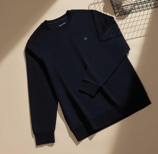 【铂雅时尚圆领外穿上衣】SCHIESSER德国舒雅高端铂雅时尚外穿圆领长袖上衣抗皱抗起球易打理99/25412U 商品图2