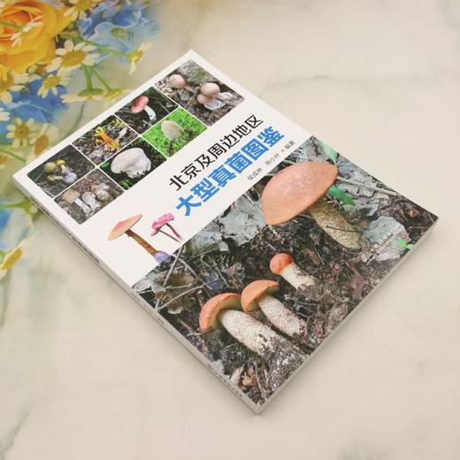 北京及周边地区大型真菌图鉴 &3203 商品图3