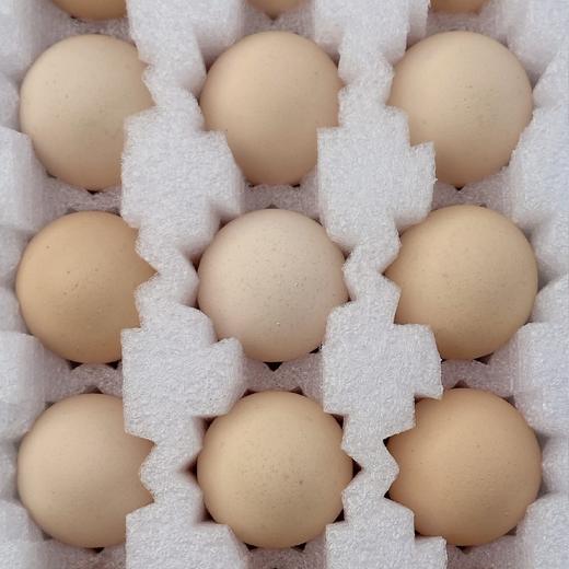 无抗可生食鸡蛋（包邮） 商品图0