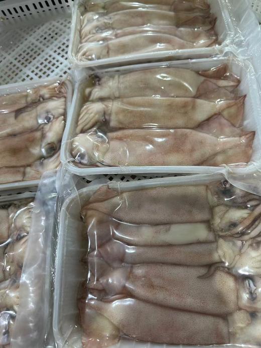 （原浆不泡药，不泡水）大连新鲜原浆小鱿鱼，冷冻真空包装，一袋一斤4-5条装， 3袋装/5袋装，全国顺丰包邮，偏远地区除外 商品图2