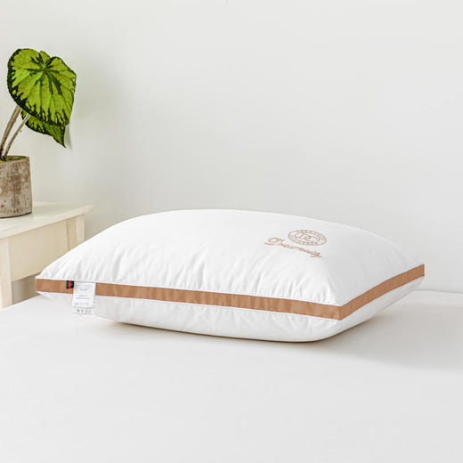 百丽安娜羽丝绒立体对枕48*74cm 商品图0