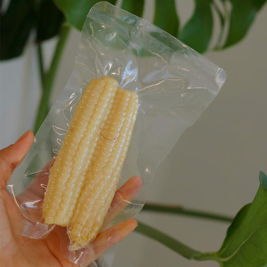 【花糯玉米/拇指玉米】糯叽叽 梗啾啾 蒸煮7-8分钟 或放入微波炉中加热2分30秒 减脂早餐 商品图10