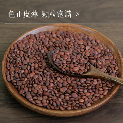 万物本草甄选生酸枣仁 安心好睡助眠茶 河北内丘酸枣仁 商品图3