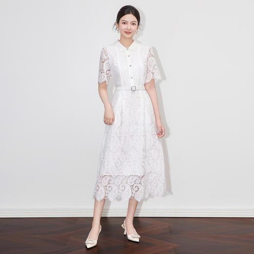 镂空水溶蕾丝翻领，收腰法式名媛气质连衣裙WLZD-2509512 商品图2