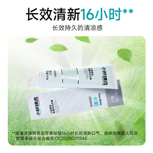 【小杨臻选】洁白牙膏挤压式成人防蛀亮白清新口气 商品图4