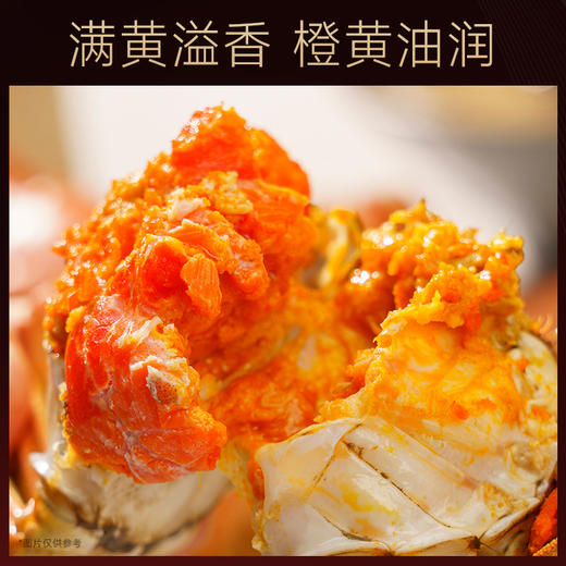 蟹状元大闸蟹768型【NB】 商品图0