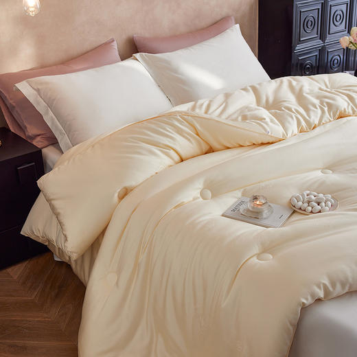 百丽安娜天丝蚕丝蛋白提花被香槟金 商品图1
