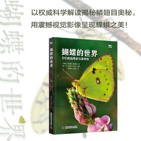 蝴蝶的世界  蝴蝶的演化密码与生存智慧