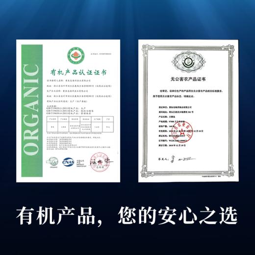 黄鱼岛有机深海大黄鱼  顺丰包邮 商品图7