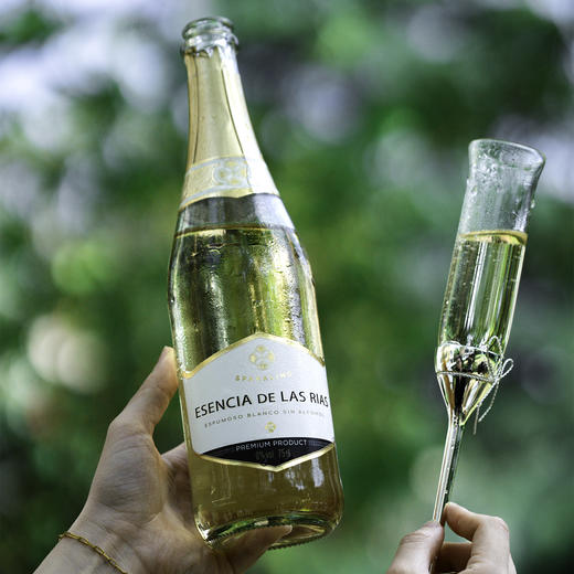 【粹溪湾无醇起泡葡萄汁】12年畅销爆款无醇起泡酒，全家老小抢着续杯的聚会神器人0酒精狂欢，畅饮不醉100%纯葡萄酿造，香气泡绵密，氛围十足入口清新，生产日期：2025年2月4日 保质期：2年 商品图6