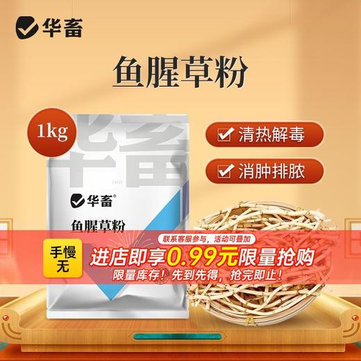 鱼腥草粉兽用消炎清热解毒猪牛羊开胃禽鸡鸭鹅用呼吸道饲料添加剂 商品图0