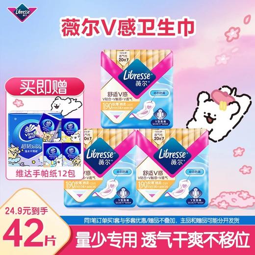 Libresse薇尔舒适V感190mm42片+线条小狗手帕纸12包 商品图0