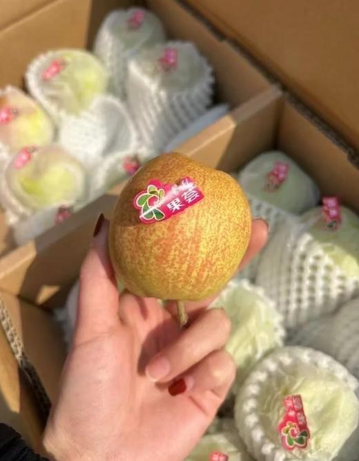 【地标好货】新疆库尔勒香梨箱装量贩*7kg 商品图1