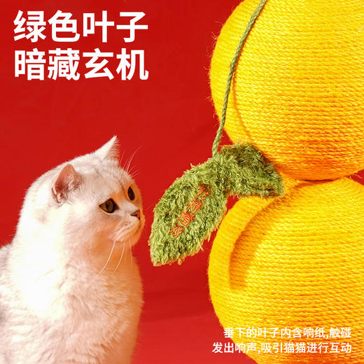 zeze好柿橙双猫抓柱-B（包邮） 商品图2