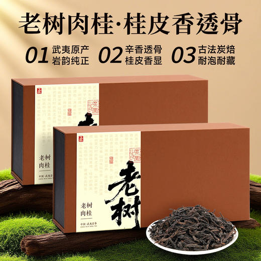 【年货礼盒】茶叶 老树肉桂 乌龙茶 武夷岩茶 茶叶礼盒 茶饮 五虎 320g 商品图0