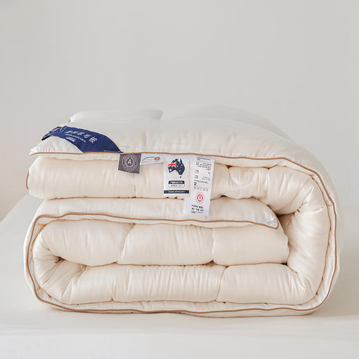 百丽安娜天丝大豆澳毛被200*230cm 商品图1