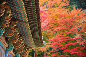 探秘韩境，红叶人文摄影之旅：内藏山、雪岳山、智异山三大红叶圣地8天