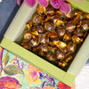 艾达的世界迪拜风味开心果酱巧克力礼盒280g/040886 三重口感层层惊喜 商品缩略图3