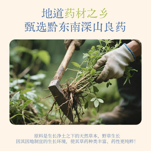 真不二白芍山药磨牙贴2贴/袋，3袋/盒 商品图2