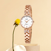 依波表女表时尚气质表女款高级感链条石英表精致腕表毕业礼物5672 商品缩略图1
