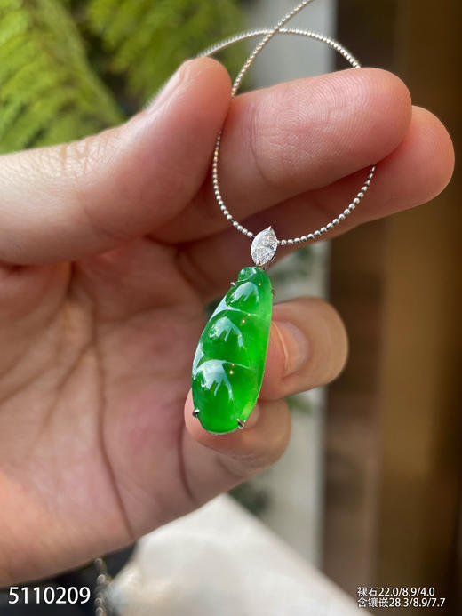 5110209，福豆吊坠。具体价格微信咨询 商品图5