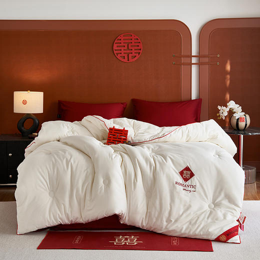 百丽安娜喜被200*230cm 商品图1