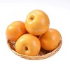 新鲜水果 肉质细腻   清甜多汁  圆黄梨3斤装 商品缩略图0