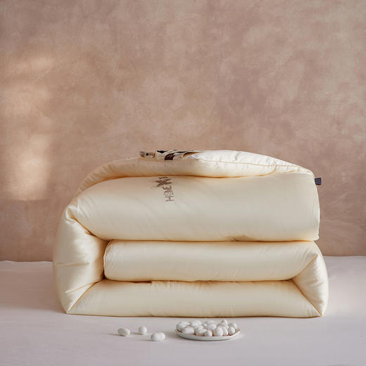 百丽安娜天丝蚕丝蛋白提花被香槟金 商品图3
