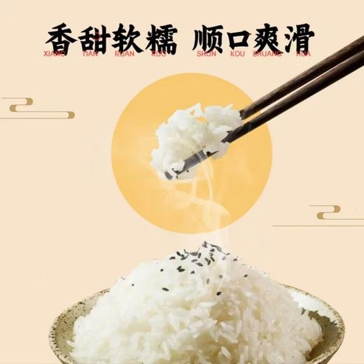 响水石板大米有机梦回大唐2.5KG站立吸嘴袋 商品图2
