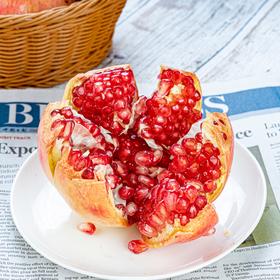 突尼斯软籽石榴四川会理石榴