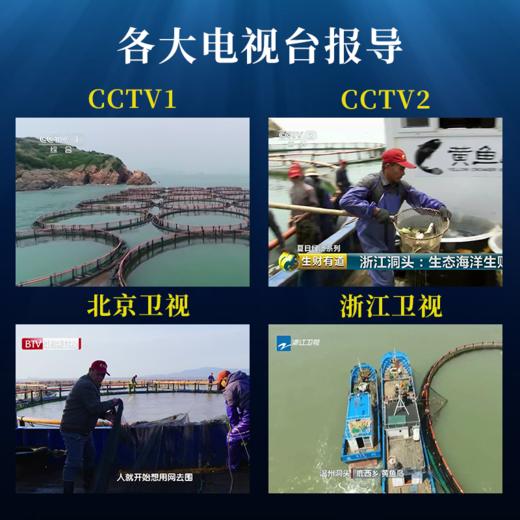 黄鱼岛有机深海大黄鱼  顺丰包邮 商品图5